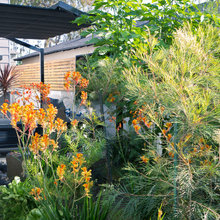 Exterior Ideas