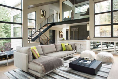 Inspiration for a contemporary living room remodel in Denver