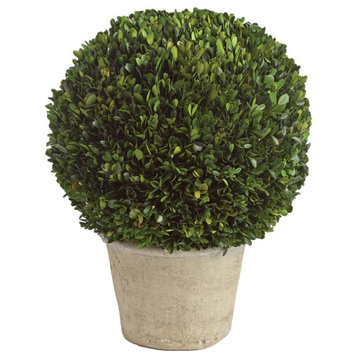 Elegant 16 in Ball Topiary in Pot Preserved Boxwood Greenery Faux Floral English