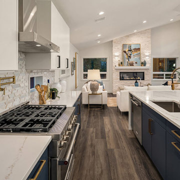 Sleek Simplicity: A Modern Open-Concept Kitchen