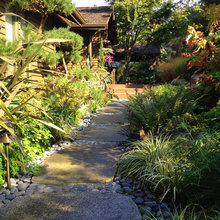 Landscape Ideas