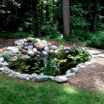 Ponds and Streams