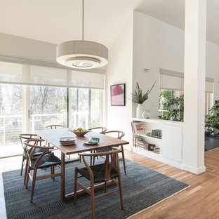 ワシントンD.C.の中サイズのミッドセンチュリースタイルのLDKの画像 (白い壁、無垢フローリング、暖炉なし、茶色い床)