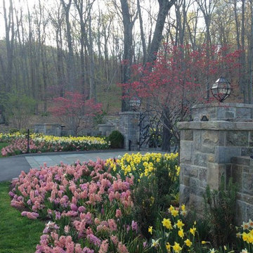 In Bloom