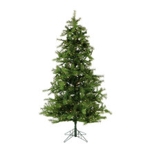 Christmas trees