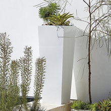 roof top garden