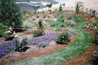 Design ideas for a landscaping in San Francisco.