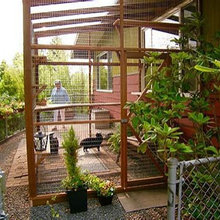 Catio