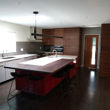Home Remodel - Custom Cabinets | Lauw House - Point Loma