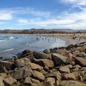 Heather Starnes's photo