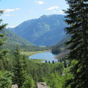 allyson krasner's photo