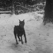 Foto von Amy Robinson