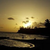 Judy Gale's photo