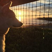 Sean Croghan's photo