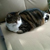 Judy Booth's photo
