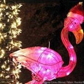 Sharon Bricker's photo
