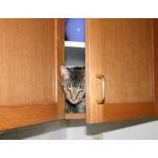Amy Gabel's photo