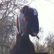 Foto von Denise Rawley