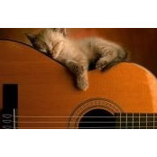 Ellen Kissinger's photo