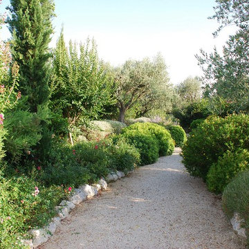 Oasi nel verde
