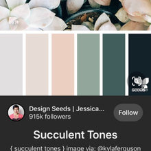 Paint Colors