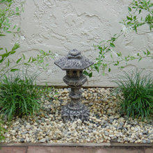 Garden plants/ideas