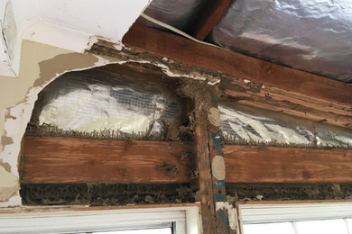Termite Damage Repair