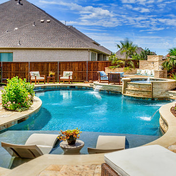 Freeform Pool Designs McKinney, Frisco, Dallas