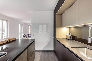 Example of a minimalist kitchen design in Munich