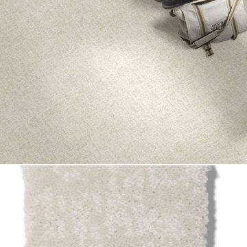 Shaw Caress Fine Structure CC69B Residential Carpet