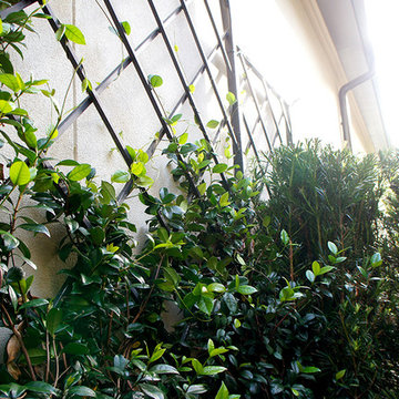 Charleston Style Courtyard - East Shore, Woodlands