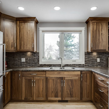 Saskatoon, Renovation - Terra