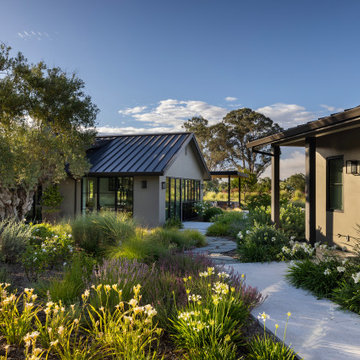 Tranquil Sonoma