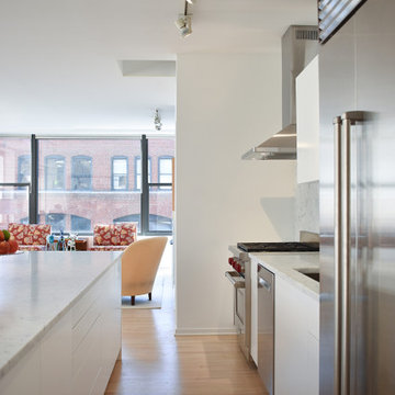 Chicago Contemporary Kitchen