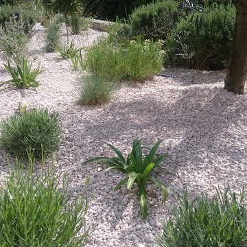 Jardin Sec Montpellier