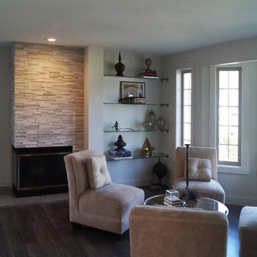 Living Room Remodel