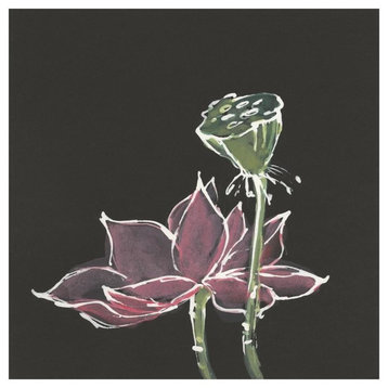 "Lotus on Black III" Digital Paper Print by Chris Paschke, 20"x20"