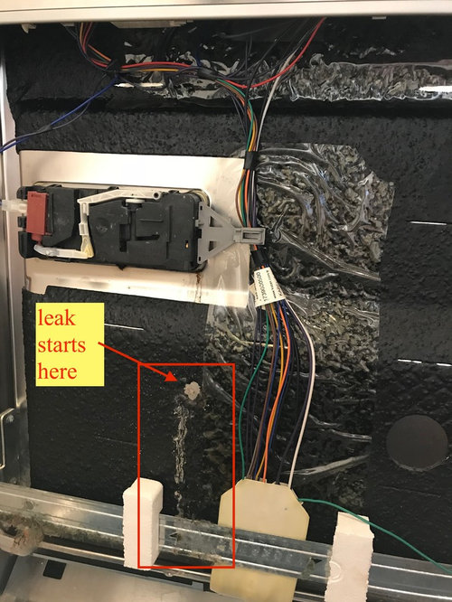 Dishwasher door leaking