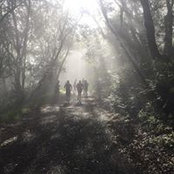 Chris Puscasiu's photo