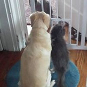 Tracy Eberhardt's photo