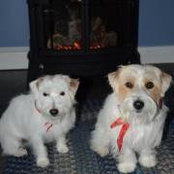 Donald Meyer's photo