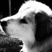 Ann Hagys foto
