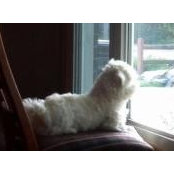 Jessica Olson's photo