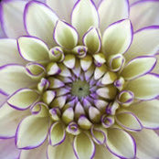 Michael McDaniel's photo