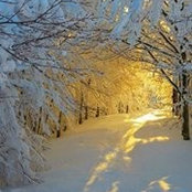 Mary Findlay's photo