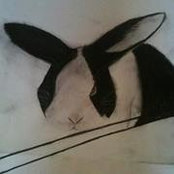 Foto von Anna Maciver