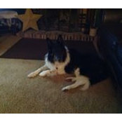 Kim Carney's photo