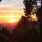 Rachel Jensen's photo