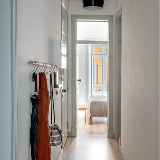 Новый формат декора квартиры: маленькая входная дверь в современном стиле с синими стенами, полом из ламината, одностворчатой входной дверью и белой входной дверью