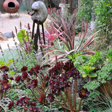 Cole Valley Garden